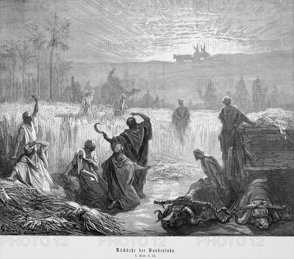 Return of the Ark of the Covenant, First Book of Samuel, Chapter 6, sanctuary, Istaelites, table of the law, sunrise, sunbeams, illuminate, bright light, agriculture, grain cultivation, farm labourers, wooden carts, oxen, transport, camels, palm trees, Bible, Old Testament, historical illustration 1885