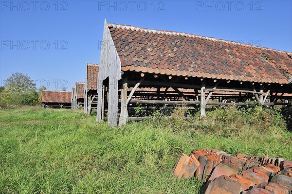 Drying yards and roof tiles at brickworks, Boom, Belgium, Europe