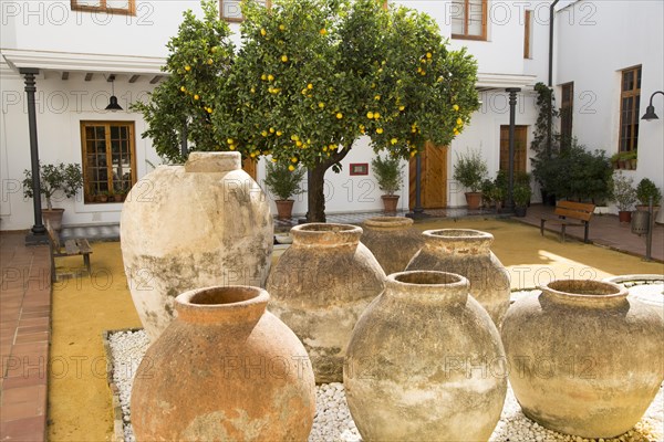 Courtyard in archaeology museum, Jerez de la Frontera, Cadiz Province, Spain, Europe