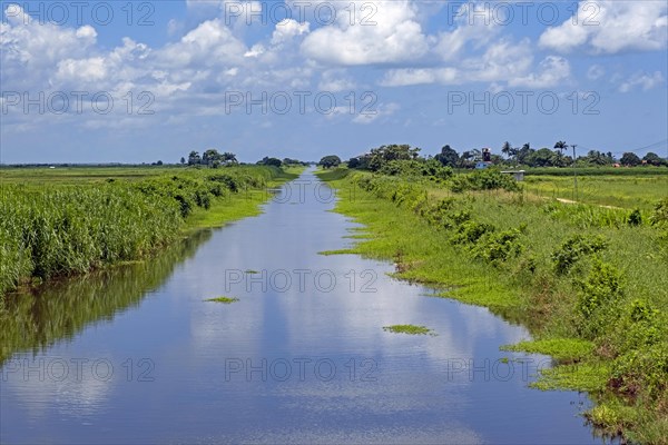 Small canal running through meadows in rural Nieuw Nickerie, Nickerie District, Suriname, Surinam, South America