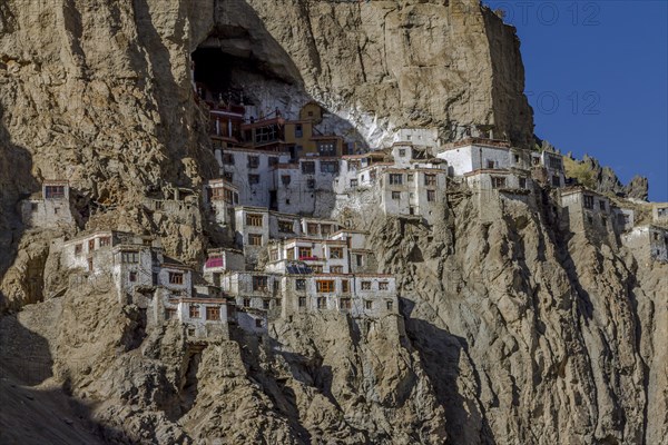 Phugtal Gompa, one of the most spectacularly located Buddhist monasteries of Ladakh, which clings to a mountain cliff, high above the valley floor. It belongs to the Gelug school of the Tibetan Buddhism. Photographed on a sunny, blue-sky day in late September, autumn. Zanskar Range of the Himalayas. Kargil District, Union Territory of Ladakh, India, Asia