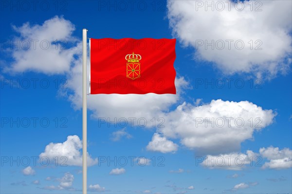 The flag of Navarre, Spain, Europe, EU, Studio, Europe