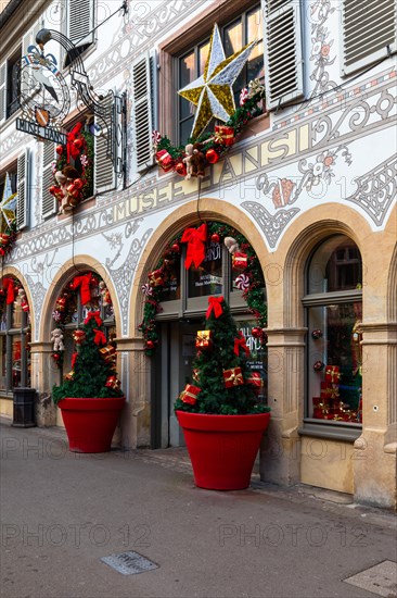 Hansi Museum, historic building decorated for Christmas, Christmas tree, historic town, Colmar, Alsace, France, Europe