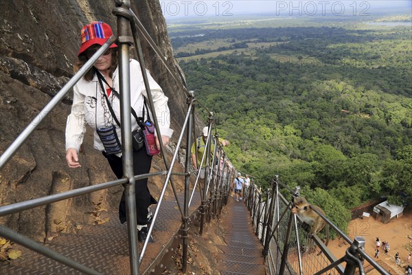 Metal staircase ascending from rock palace fortress, Sigiriya, Central Province, Sri Lanka, Asia