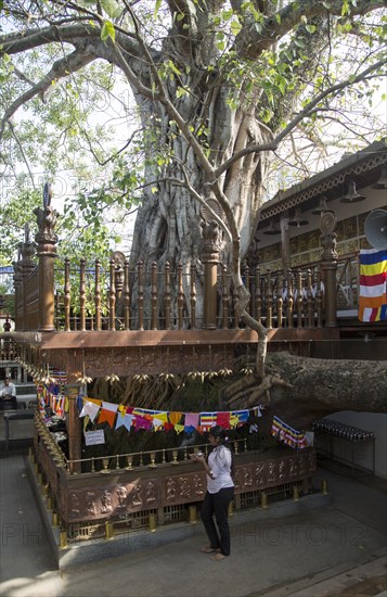 Gangaramaya Buddhist Temple, Colombo, Sri Lanka, Asia