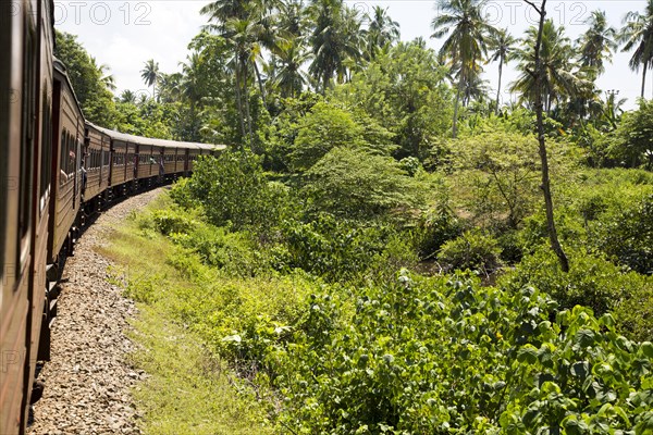 Railway train passing through countryside between Galle and Mirissa, Sri Lanka, Asia