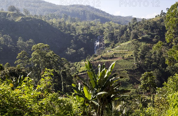 Little Rawana or Ravana Falls waterfall, Ella, Badulla District, Uva Province, Sri Lanka, Asia