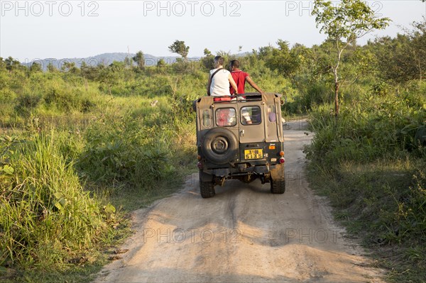 Elephant safari in Hurulu Eco Park biosphere reserve, Habarana, Anuradhapura District, Sri Lanka, Asia