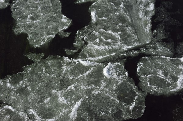 Pancake ice floating on river due to severe cold in winter, Belgium, Europe