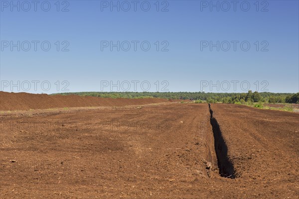 Peat extraction at Totes Moor, Tote Moor, raised bog near Neustadt am Ruebenberge, district of Hannover, Lower Saxony, Niedersachsen, Germany, Europe