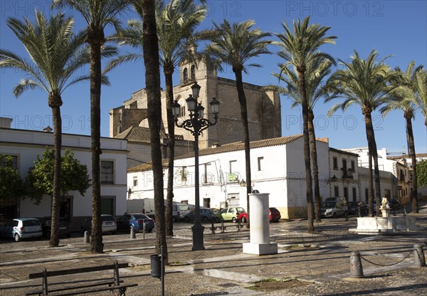 Historic church in Plaza del Mercado, Barrio de Santiago, Iglesia de San Mateo, Jerez de la Frontera, Spain, Europe