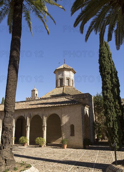 Historic mosque in the Alcazar, Jerez de la Frontera, Spain, Europe