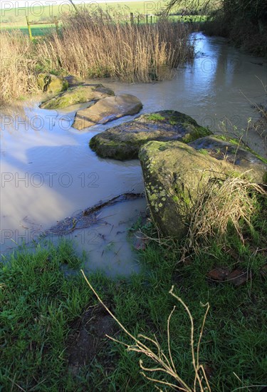 Stepping stones at Swallowhead Springs ancient sacred site, River Kennet, West Kennet, Wiltshire, England, UK