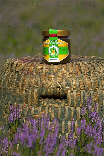 Honey jar on old beehive, skep of apiary in the Lueneburg Heath, Lunenburg Heathland, Lower Saxony, Germany, Europe