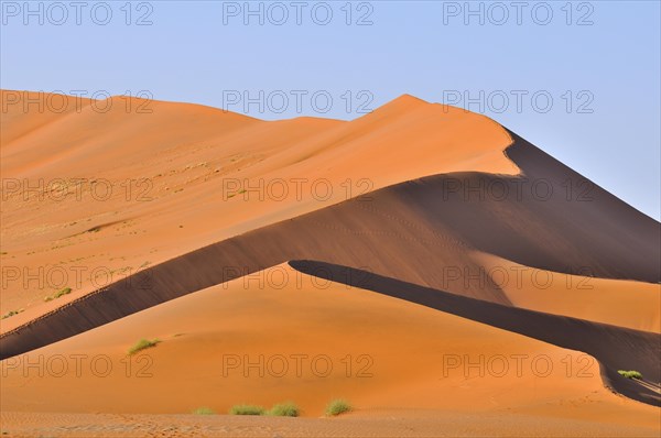 Red sand dunes of the Sossusvlei, Sossus Vlei in the Namib desert, Namibia, Africa