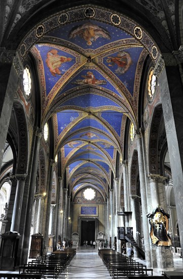 Interior view of the Gothic basilica, construction started at the end of the 13th century, Santa Maria sopra Minerva, Rome, Lazio region, Italy, Europe