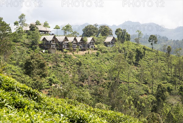 98 Acres resort luxury lodges, Ella, Badulla District, Uva Province, Sri Lanka, Asia
