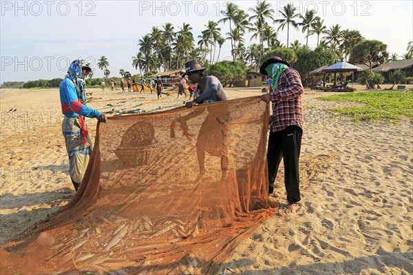 Traditional fishing hauling nets Nilavelli beach, near Trincomalee, Eastern province, Sri Lanka, Asia