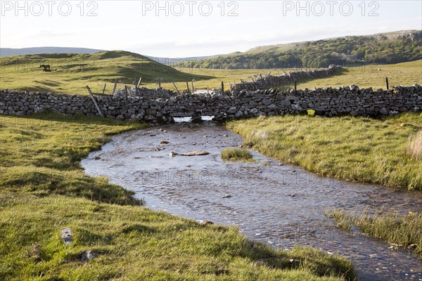 Stream flowing over limestone rock, Malham, Yorkshire Dales national park, England, UK