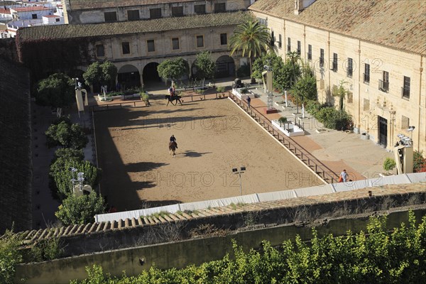 Raised angle view courtyard of equestrian centre, Caballerizas Reales de Cordoba, Royal Stables, Cordoba, Spain, Europe