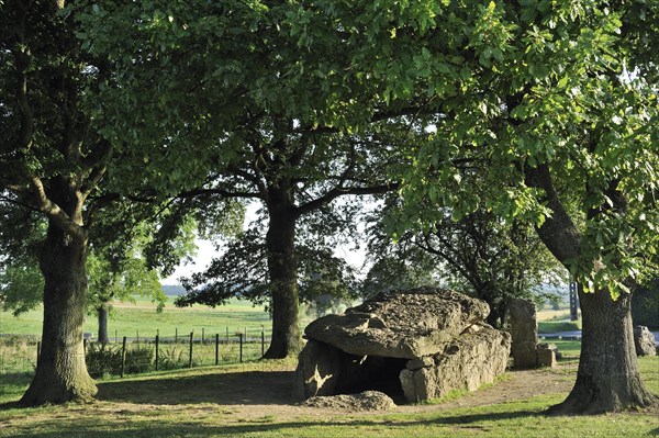 Megalithic Grand Dolmen de Weris and menhir made of conglomerate rock, Belgian Ardennes, Luxembourg, Belgium, Europe