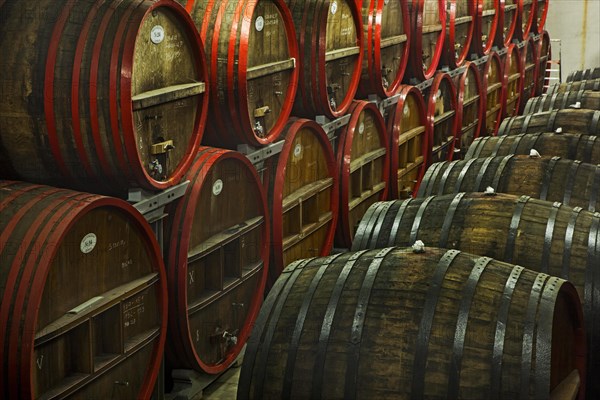 Oak barrels at Brouwerij Boon, Belgian brewery at Lembeek near Brussels, producer of geuze and kriek beer