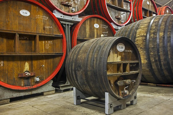 Oak barrels at Brouwerij Boon, Belgian brewery at Lembeek near Brussels, producer of geuze and kriek beer