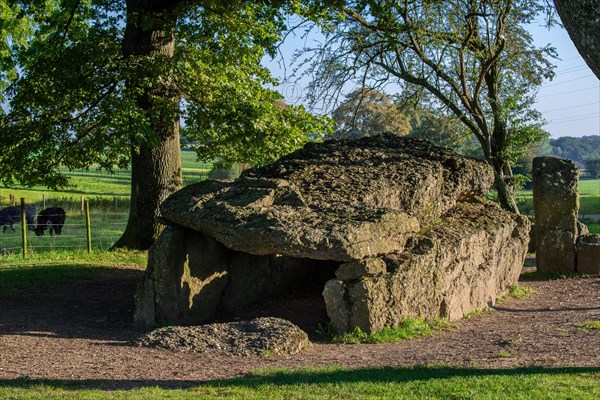 Grand Dolmen de Weris, megalithic gallery grave, chambered tomb near Durbuy in summer, province of Luxembourg, Belgian Ardennes, Wallonia, Belgium, Europe