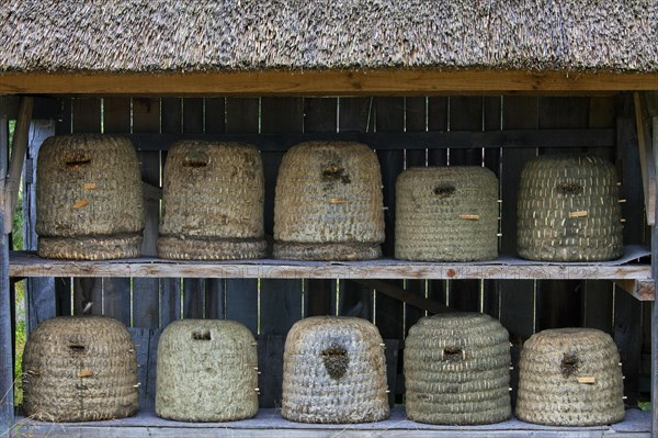 Bee hives, beehives, skeps in rustic shelter of apiary in the Lueneburg Heath, Lunenburg Heath, Lower Saxony, Germany, Europe
