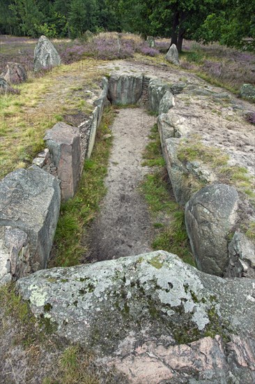 Passage grave at Oldendorfer Totenstatt, group of six burial mounds and megalith sites in Oldendorf near Amelinghausen, Lueneburg Heath, Lower Saxony, Germany, Europe