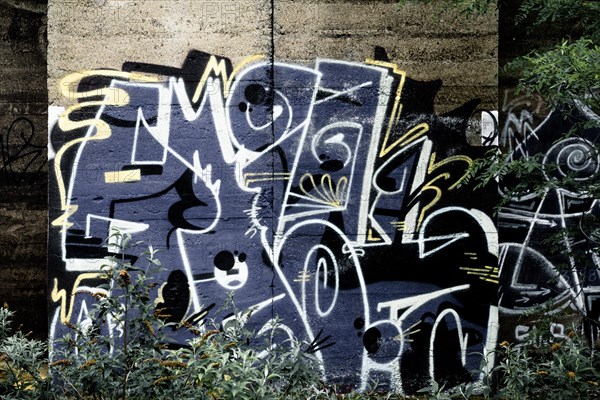 Wall with colourful, abstract graffiti, surrounded by plants, former Rethel railway junction, Lost Place, Flingern, Duesseldorf, North Rhine-Westphalia, Germany, Europe