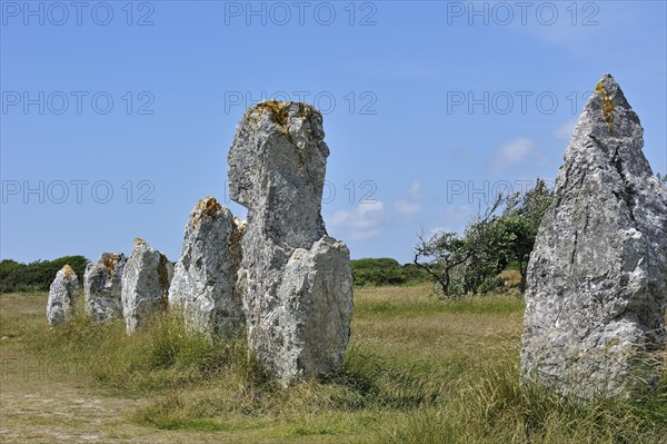 Megalithic standing stones, Alignements de Lagatjar at Crozon, Camaret-sur-Mer, Finistere, Brittany, France, Europe