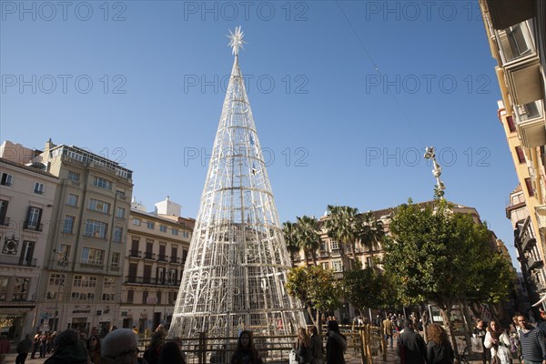 Christmas tree decorations in Plaza de Constitucion, Malaga, Spain, Europe