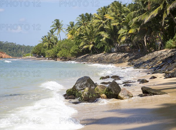 Tropical landscape of palm trees and sandy beach, Mirissa, Sri Lanka, Asia