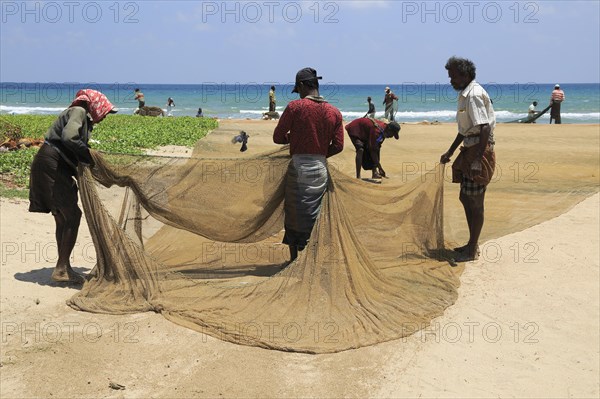 Traditional fishing hauling nets Nilavelli beach, near Trincomalee, Eastern province, Sri Lanka, Asia