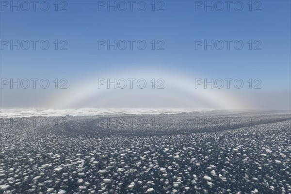 Fogbow, fog bow, white rainbow, sea-dog over the Arctic Sea at Svalbard, Norway, Europe