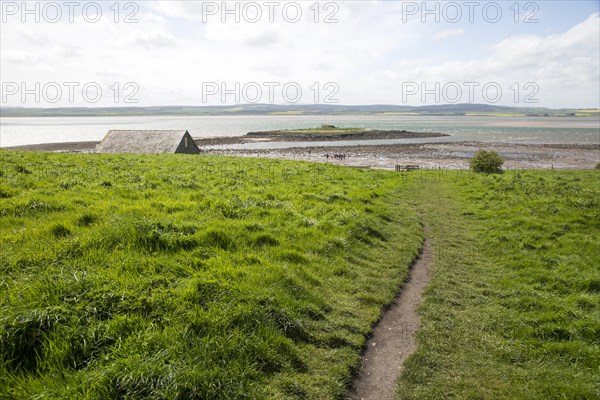 Path over filed to the coast, Holy Island, Lindisfarne, Northumberland, England, UK
