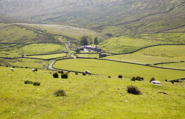 Farmhouse at Duerley Bottom, Sleddale, Yorkshire Dales national park, England, UK