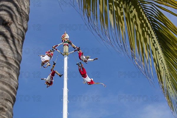 Danza de los Voladores, Dance of the Flyers, flying men of Papantla performing the ancient Mesoamerican ritual in Puerto Vallarta, Jalisco, Mexico, Central America