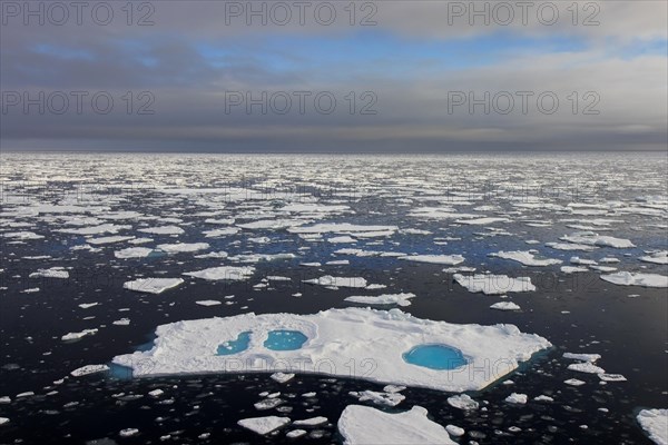 Aerial view over sea ice, drift ice, ice floes with melt ponds containing freshwater in the Arctic Ocean, Nordaustlandet, Svalbard, Spitsbergen