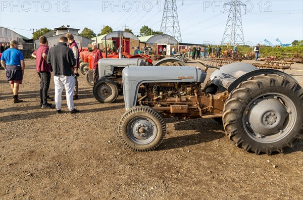 Vintage Massey Ferguson tractors at auction sale of vintage farming equipment, Campsea Ashe, Suffolk, England, UK