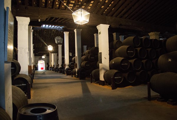 Oak barrels of maturing sherry wine in cellar, Gonzalez Byass bodega, Jerez de la Frontera, Cadiz province, Spain, Europe