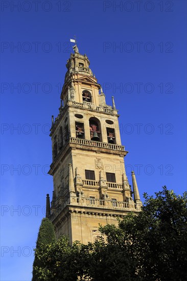 Cathedral belfry bell tower, Toree del Laminar, Great Mosque, Cordoba, Spain, Europe