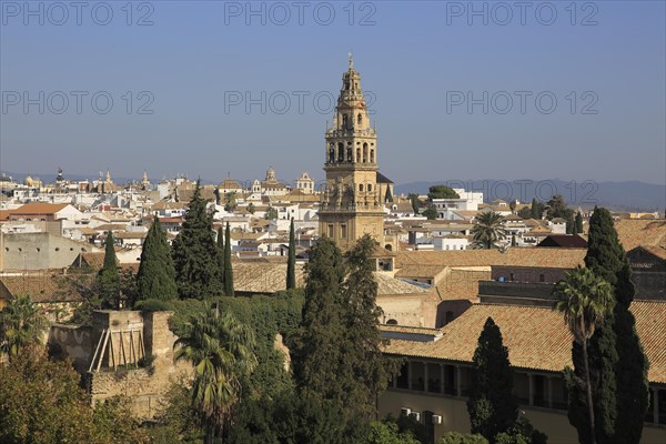View of historic city centre and belfry bell tower, Toree del Laminar, Grand Mosque, Cordoba, Spain, Europe