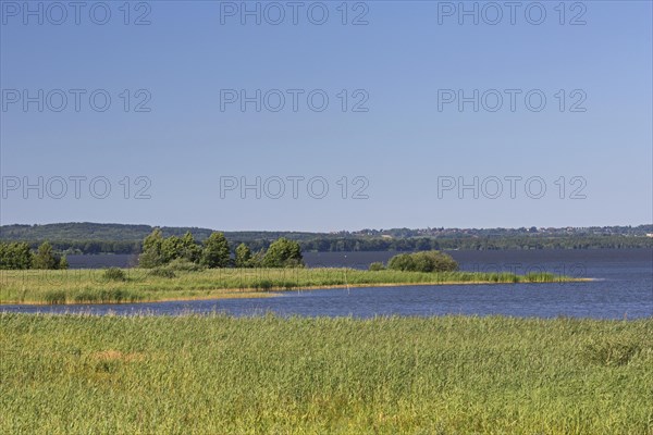 Steinhuder Meer, Lake Steinhude in the Hannoversche Moorgeest, Hanoverian Moor Geest in summer, Lower Saxony, Germany, Europe