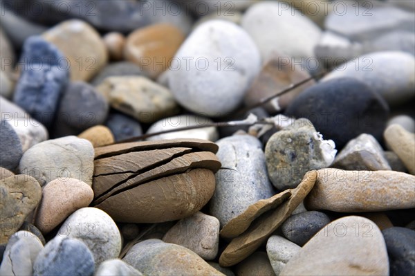 Split boulder due to severe weather with extreme temperatures at Svalbard, Spitsbergen, Norway, Europe