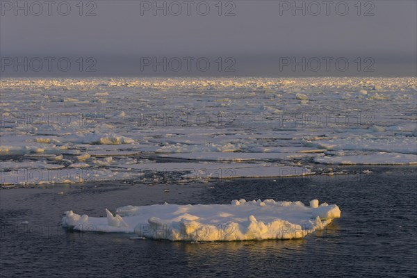 Pack ice in the Hinlopenstretet, Hinlopenstreet, strait between Spitsbergen and Nordaustlandet in Svalbard, Norway, Europe