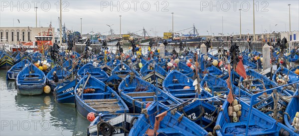 Traditional blue fishing boats in the harbour, Essaouira, Morocco, Africa