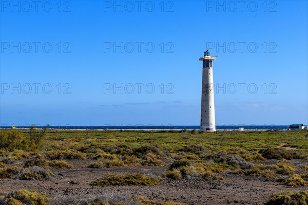 View of lighthouse Faro de Morro Jable on east coast of peninsula Jandia, in the foreground green plants ground cover vegetation on ground of volcanic origin, in the background blue sea east atlantic Atlantic, above bright blue sky, on the horizon light clouds, Morro Jable, peninsula Jandia, Fuerteventura, Canary Islands, Spain, Europe