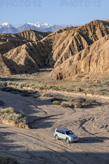 Off-road vehicle on off-road road, eroded hilly landscape, Badlands, Valley of the Forgotten Rivers, near Bokonbayevo, Yssykkoel, Kyrgyzstan, Asia